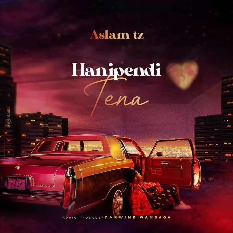 AUDIO Aslam Tz – Hanipendi Tena MP3 DOWNLOAD