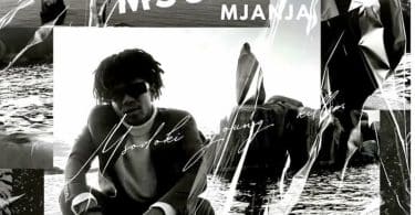 AUDIO Msodoki Young Killer – Msukuma Mjanja MP3 DOWNLOAD