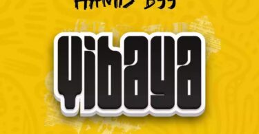 AUDIO Hamis BSS - Vibaya MP3 DOWNLOAD