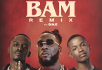 Listen to TitoM - Tshwala Bam (Remix) Ft Burna Boy X Yuppe X S.N.E