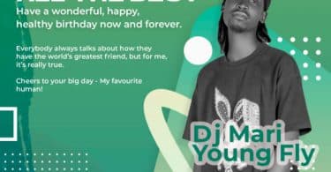 Best of Amapiano mixtape Dj Mari Young Fly MP3 DOWNLOAD