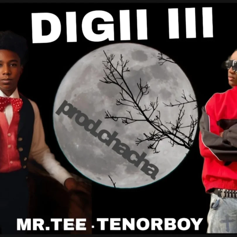 AUDIO Mr. Tee - Digii III Ft Tenorboy MP3 DOWNLOAD