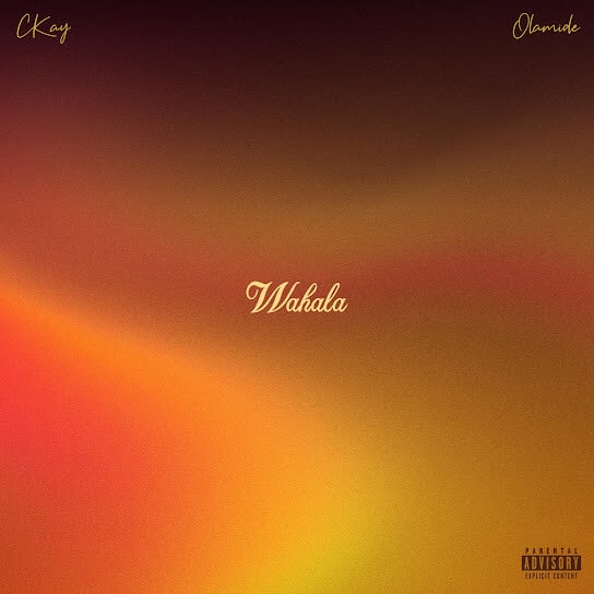 CKay Links Up With Olamide on New Single 'Wahala'