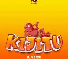 AUDIO D voice - Kijitu MP3 DOWNLOAD