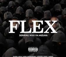 AUDIO Serikali Kuu ya Mizuka - FLEX MP3 DOWNLOAD