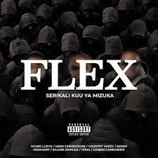 AUDIO Serikali Kuu ya Mizuka - FLEX MP3 DOWNLOAD