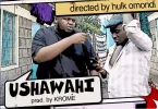 AUDIO Mejja - Ushawahi MP3 DOWNLOAD