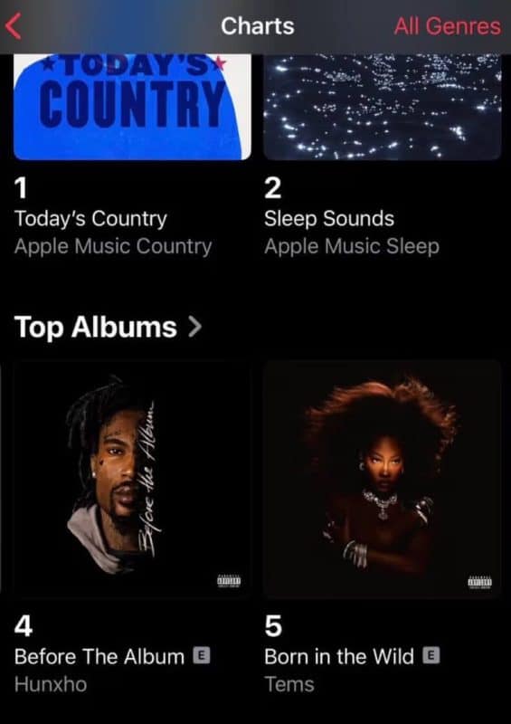 Tems Makes History on Apple Music US with Debut Album