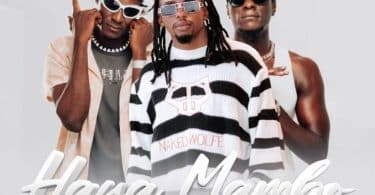 AUDIO Wajomba Ft Dogo Janja – Haya Mambo MP3 DOWNLOAD