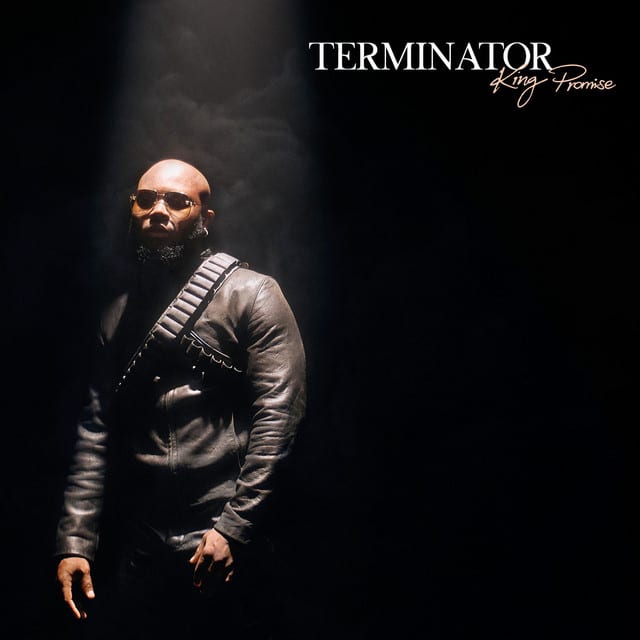 AUDIO King Promise – Terminator MP3 DOWNLOAD