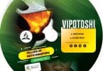 AUDIO Pillars Of Faith Ministers – Vipotoshi MP3 DOWNLOAD