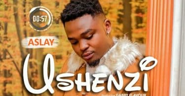 AUDIO Aslay Ft Gabby Flavour - Ushenzi MP3 DOWNLOAD