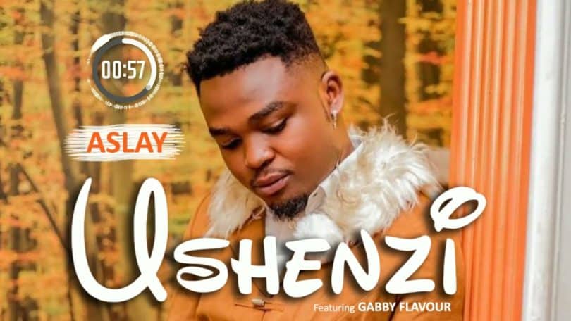 AUDIO Aslay Ft Gabby Flavour - Ushenzi MP3 DOWNLOAD