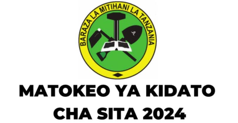 Matokeo ya Kidato cha Sita 2024/2025 | Form Six (ACSEE Results)