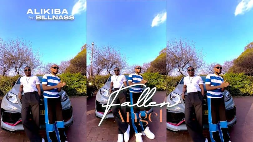 VIDEO: Alikiba Ft. Billnass - Fallen Angel (Visualiser)