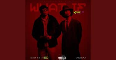 AUDIO Diezdola Ft Passy Kizito - What If Remix MP3 DOWNLOAD