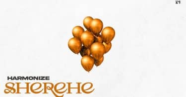 Harmonize – Sherehe LYRICS