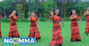 AUDIO AIC New Valley Main Choir - NAONA AIBU MP3 DOWNLOAD