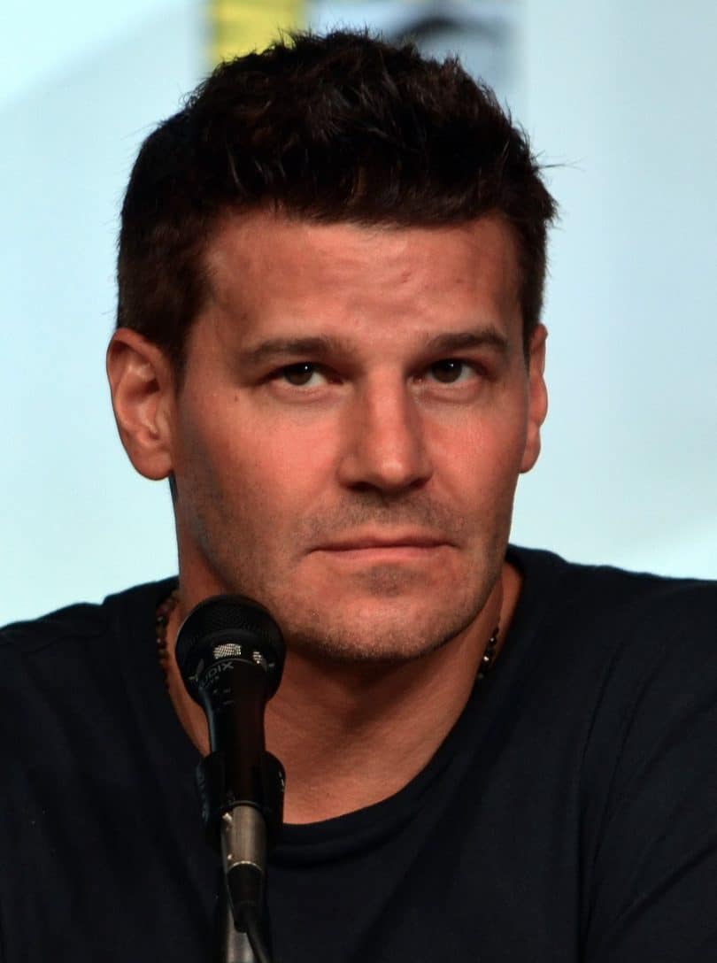 Is David Boreanaz Currently Married?