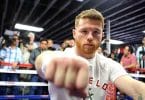 Canelo Alvarez Net Worth: Punching His Way to Millions