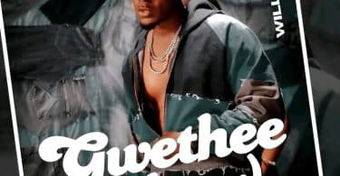 AUDIO Willy Paul – Gwethee MP3 DOWNLOAD