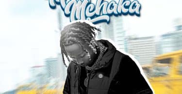 AUDIO Tibbuh Boe - Mchakamchaka MP3 DOWNLOAD