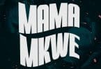 AUDIO Yamoto Band Ft Barnaba - Mama Mkwe MP3 DOWNLOAD