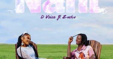 AUDIO D Voice - Nani Ft Zuchu MP3 DOWNLOAD