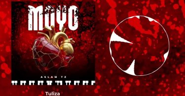 AUDIO Aslam Tz - Moyo MP3 DOWNLOAD