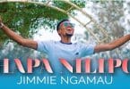 AUDIO Jimmie Ngamau - HAPA NILIPO MP3 DOWNLOAD