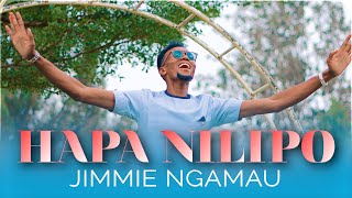 AUDIO Jimmie Ngamau - HAPA NILIPO MP3 DOWNLOAD