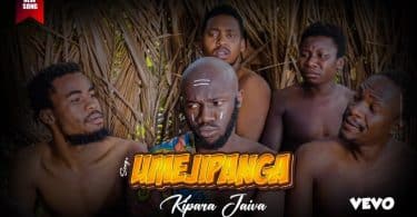 AUDIO Kipara Jaiva - Umejipanga MP3 DOWNLOAD