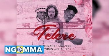 AUDIO Yamungu Ft Mwandei X Dr John - Tetere MP3 DOWNLOAD