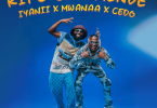 AUDIO Iyanii – Kifo Cha Mende Ft Mwanaa X Cedo MP3 DOWNLOAD