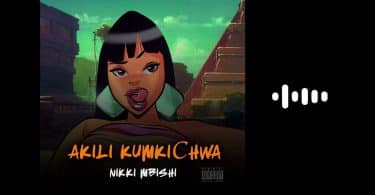 AUDIO Nikki Mbishi - AKILI KUMKICHWA MP3 DOWNLOAD