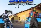 AUDIO Kapeke - Shuu (Remix) Ft Fik Fameica MP3 DOWNLOAD