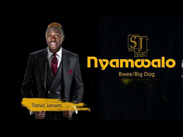 AUDIO Stevo Janam - Nyamwalo MP3 DOWNLOAD