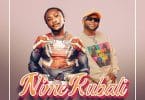 AUDIO B2K Mnyama Ft Dayoo - Nimekubali MP3 DOWNLOAD