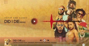 Hatim & Dokey Ft Sheebah & Feffe Bussi & Vampino & D'Mario - Did I Die Remix