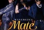 AUDIO Lulu Diva Ft. Mabantu - Wanamezea Mate MP3 DOWNLOAD