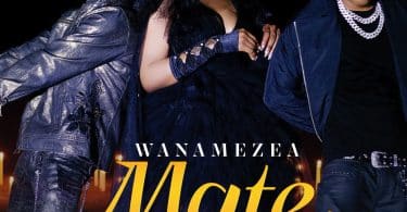 AUDIO Lulu Diva Ft. Mabantu - Wanamezea Mate MP3 DOWNLOAD