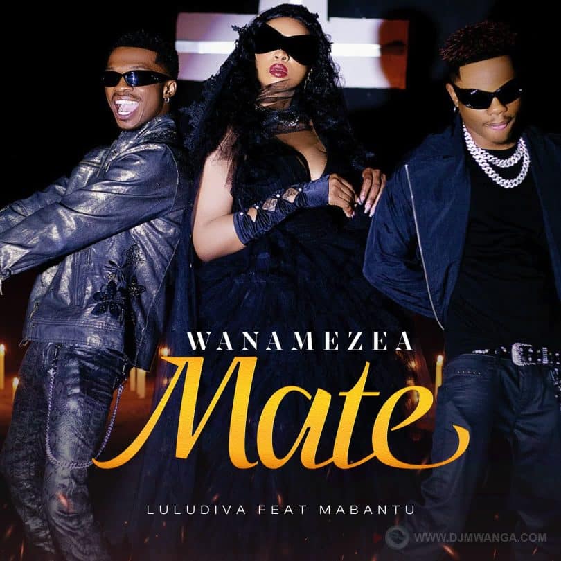 AUDIO Lulu Diva Ft. Mabantu - Wanamezea Mate MP3 DOWNLOAD