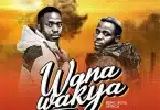 AUDIO Bentiboys Africa - Wana Wankya MP3 DOWNLOAD