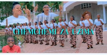 AUDIO Kwaya Ya Mt. Aloyce Gonzaga - CHEMCHEMI ZA UZIMA MP3 DOWNLOAD