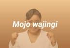 AUDIO Soeur Lydie Nseya - Mojo Wajingi MP3 DOWNLOAD