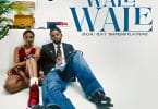 AUDIO Zuchu - Wale Wale Ft. Diamond Platnumz MP3 DOWNLOAD