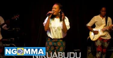 AUDIO Alice Kimanzi- Nikuabudu MP3 DOWNLOAD