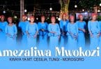 AUDIO Kwaya Ya Mt. Cesilia Tungi Morogoro - Amezaliwa Mwokozi MP3 DOWNLOAD