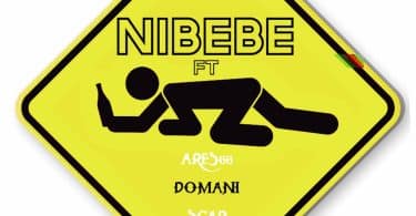 AUDIO Wakadinali Ft Domani Munga & Scar Mkadinali - Nibebe MP3 DOWNLOAD