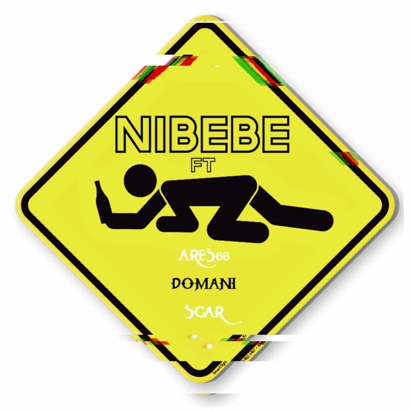 AUDIO Wakadinali Ft Domani Munga & Scar Mkadinali - Nibebe MP3 DOWNLOAD